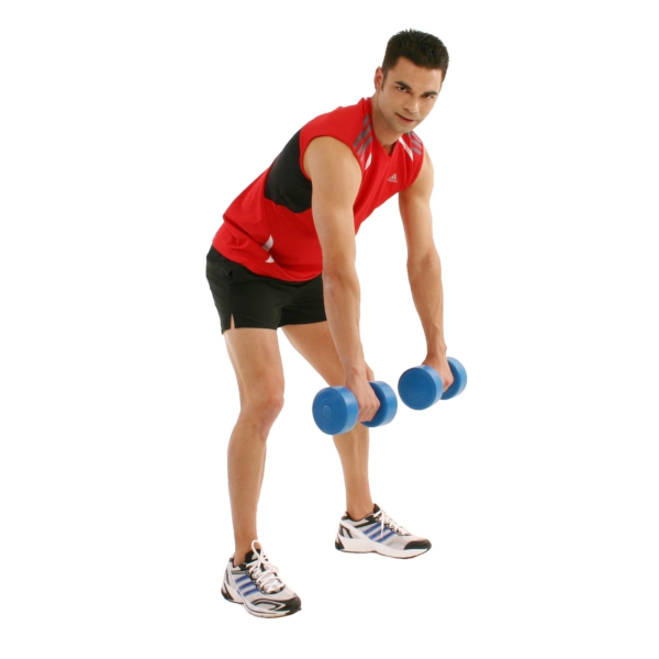 Fitness Rücken Latissimus