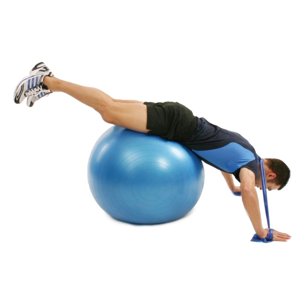 Fitness Liegestütz Brust