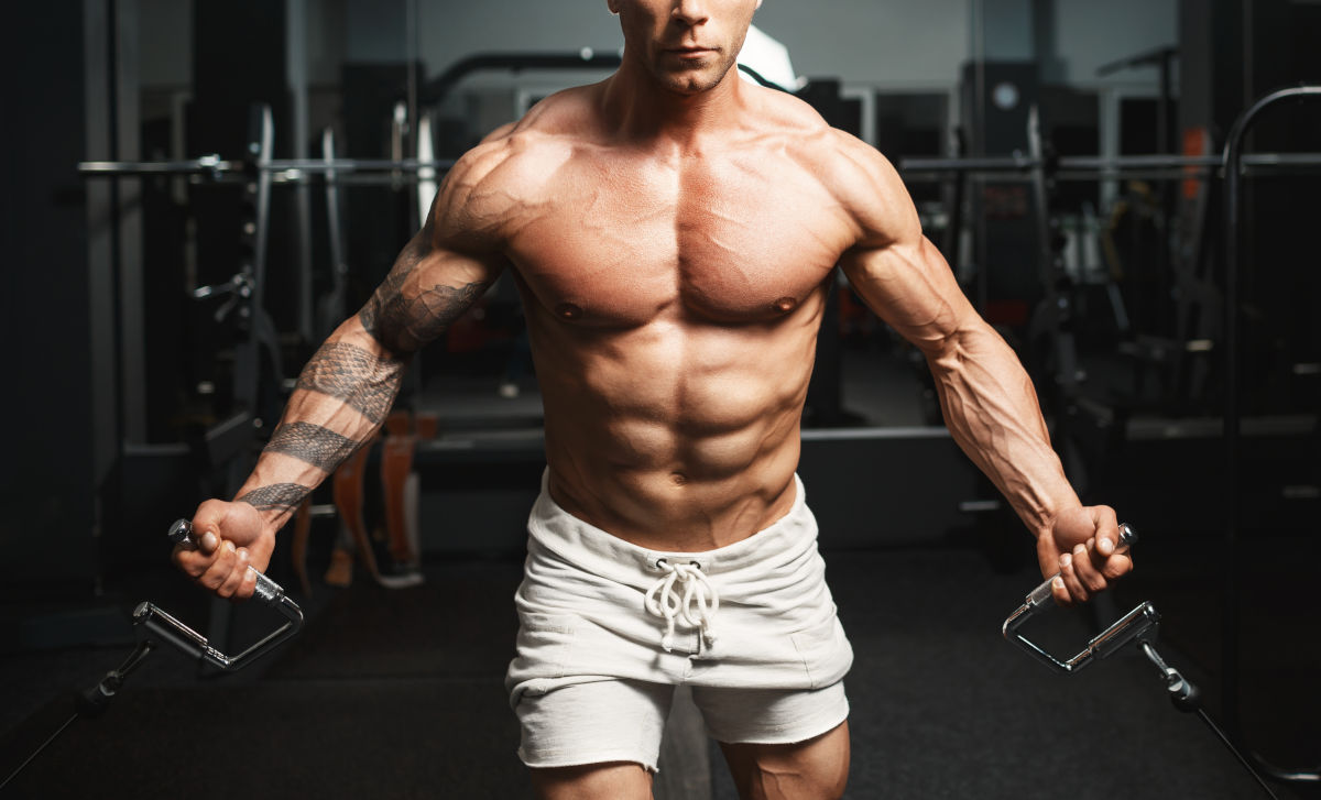 Kraft Training Muskelaufbau Kraft Training Muskelaufbau