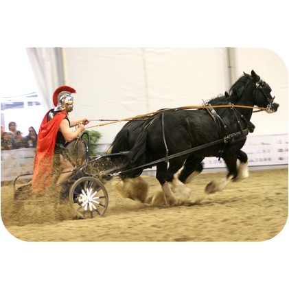 Fitness Geschichte Neuzeit